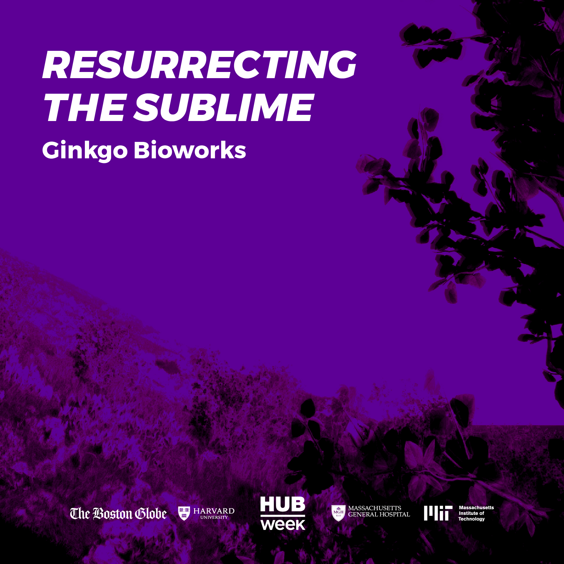 Resurrecting the Sublime-101